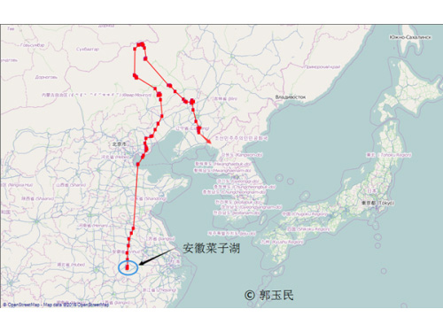 201512½ʾǨ·