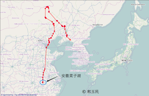 来利国际w66,湖南野生动物追踪,湖南卫星追踪器,湖南追踪器 来利国际w66,湖南野生动物追踪,湖南卫星追踪器,湖南追踪器