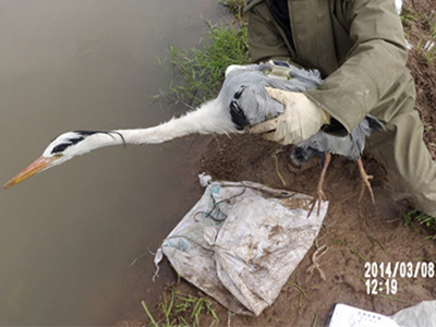 来利国际w66,湖南野生动物追踪,湖南卫星追踪器,湖南追踪器 来利国际w66,湖南野生动物追踪,湖南卫星追踪器,湖南追踪器
