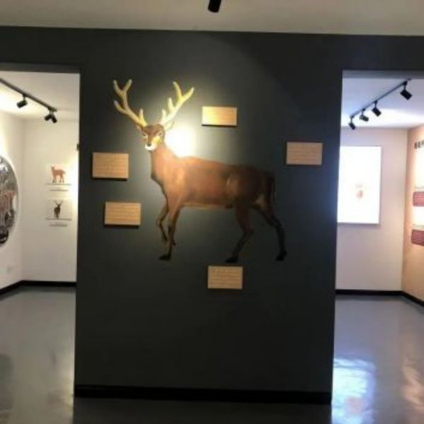 À´Àû¹ú¼Êw66,ºþÄÏÒ°Éú¶¯Îï×·×Ù,ºþÄÏÎÀÐÇ×·×ÙÆ÷,ºþÄÏ×·×ÙÆ÷ À´Àû¹ú¼Êw66,ºþÄÏÒ°Éú¶¯Îï×·×Ù,ºþÄÏÎÀÐÇ×·×ÙÆ÷,ºþÄÏ×·×ÙÆ÷